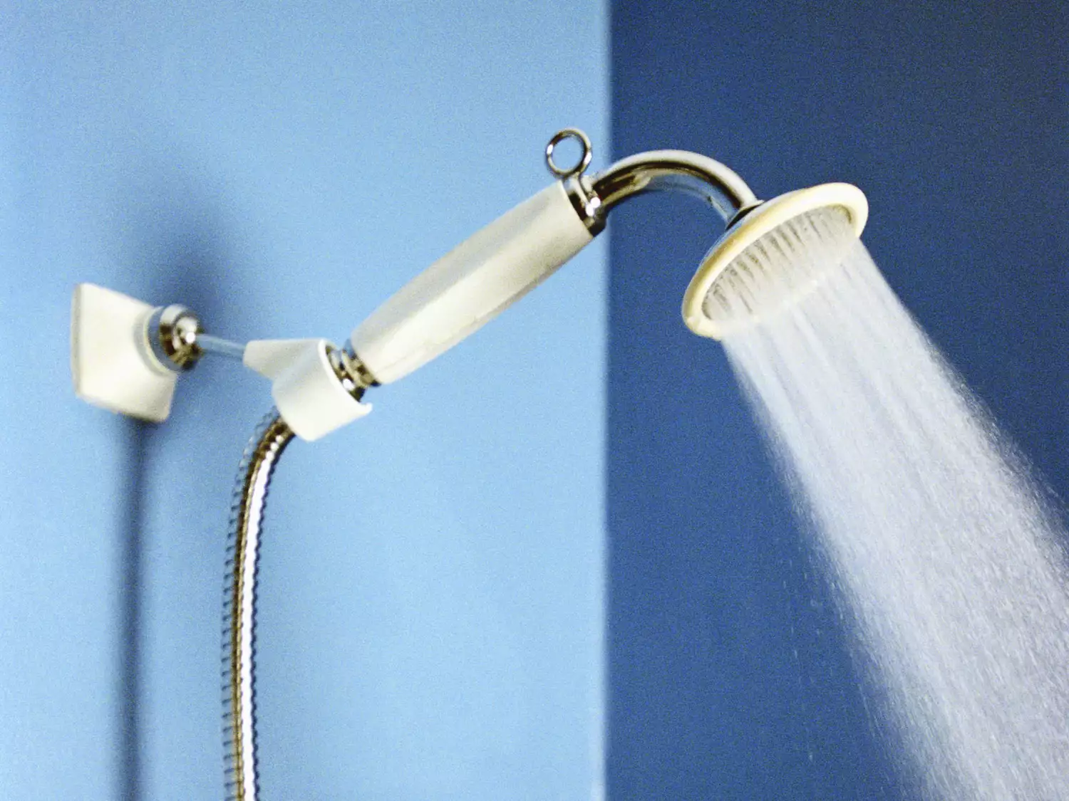 Here’s Why a Showerhead Filter Is the Greatest Beauty Hack, According to the Pros